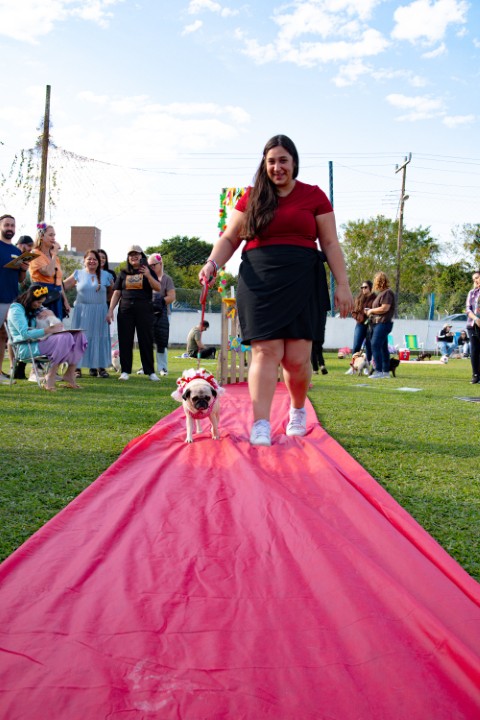 Foto do Pugnic 2026